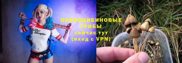spice Мегион