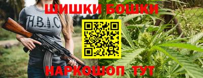 дживик Бийск